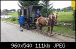 Klicken Sie auf die Grafik fr eine grere Ansicht 

Name:	Pferde.jpg 
Hits:	2688 
Gre:	111,2 KB 
ID:	6211