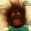 Avatar von Sackl